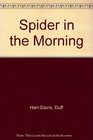 SPIDER IN THE MORNING