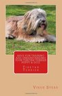 Have Fun Training and Understanding Your Tibetan Terrier Puppy & Dog