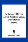 Archeology Of The Lower Mimbres Valley New Mexico