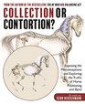Collection or Contortion Exposing the Misconceptions and Exploring the Truths of Horse Positioning and Bend