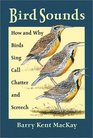 Bird Sounds How and Why Birds Sing Call Chatter and Screech