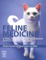 Feline Medicine: A Practical Guide for Veterinary Nurses and Technicians