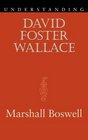Understanding David Foster Wallace