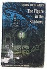 The Figure in the Shadows (Lewis Barnavelt)