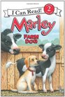 Marley Farm Dog