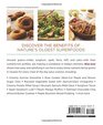 Ancient Grains A Guide to Cooking with PowerPacked Millet Oats Spelt Farro Sorghum  Teff