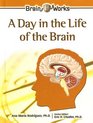 A Day in the Life of the Brain