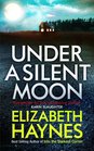 Under a Silent Moon (DCI Louisa Smith, Bk 1)