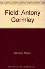 Field Antony Gormley