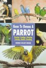 Guide to Owning a Parrot