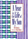 A Year in the Life of My Son