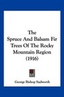 The Spruce And Balsam Fir Trees Of The Rocky Mountain Region