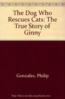 The Dog Who Rescues Cats The True Story of Ginny