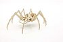 IncrediBuilds: Harry Potter: Aragog 3D Wood Model and Booklet