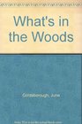 What's in the Woods
