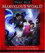 The Marvelous Effect Marvelous World Book 1