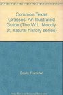 Common Texas grasses An illustrated guide