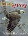 Birds of Prey An Introduction