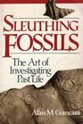 Sleuthing Fossils