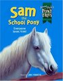 Sam the School Pony