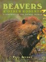 Beavers and Other Rodents