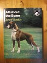 All About the Boxer
