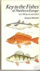 Key to the fishes of northern Europe A guide to the identification of more than 350 species