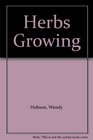 Herbs Growing