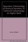 Boundary Cohomology of Shimura Varieties III Coherent Cohomology on Higher Rank
