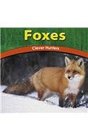 Foxes Clever Hunters
