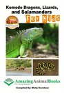 Komodo Dragons Lizards and Salamanders for Kids