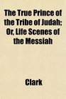 The True Prince of the Tribe of Judah Or Life Scenes of the Messiah