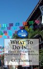 What To Do InPlaya Del Carmen Quintana Roo Mexico