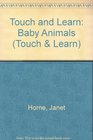 Touch and Learn Baby Animals