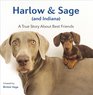 Harlow and Sage 'and Indiana': A True Story About Best Friends