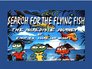 Search For The Flying Fish The Incredible Journey Of EinstienAggro And Swoops