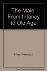 The Male From Infancy to Old Age