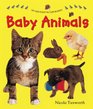 Say And Point Picture Boards Baby Animals