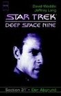 Star Trek Deep Space Nine 29 Der Abgrund Section 31