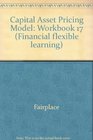 Capital Asset Pricing Model Workbook 17