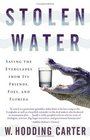 Stolen Water : Saving the Everglades from Its Friends, Foes, and Florida