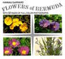 Flowers of Bermuda with 32 pages of fullcolor photographs