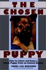 The Chosen Puppy  How to Select and Raise a Great Puppy from an Animal Shelter