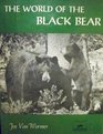 World of the Black Bear
