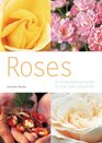 Roses A Comprehensive Guide to Care and Cultivation