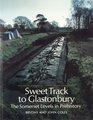 Sweet Track to Glastonbury Somerset Levels in Prehistory