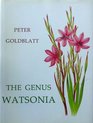 The Genus Watsonia A Systematic Monograph
