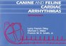 Canine and Feline Cardiac Arrhythmias SelfAssessment