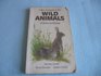 Wild Animals of Britain and Europe