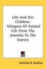 Life And Her Children: Glimpses Of Animal Life From The Amoeba To The Insects